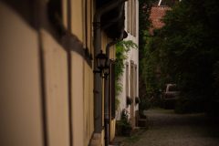 IMG_3666-scaled
