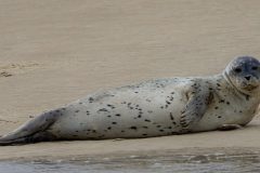 IMG_1906-scaled