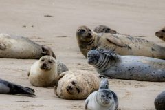 IMG_1930-scaled