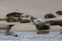 IMG_1956-scaled