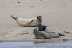IMG_1980-scaled