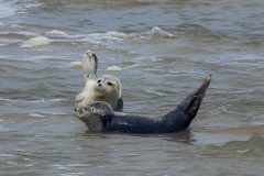 IMG_1989-scaled